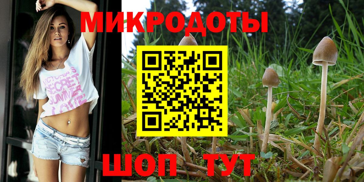где можно купить наркотик  Псилоцибиновые грибы GOLDEN TEACHER  Вход с VPN  Псилоцибиновые грибы GOLDEN TEACHER  Вятские Поляны 