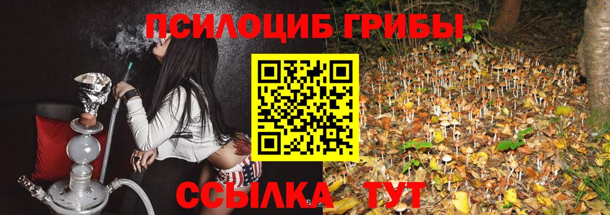 Псилоцибиновые грибы Psilocybine cubensis Вятские Поляны
